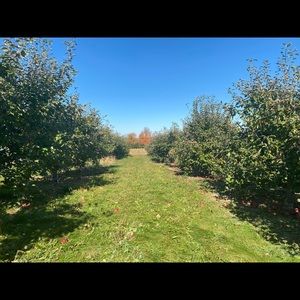 Meet your Posher, Holly